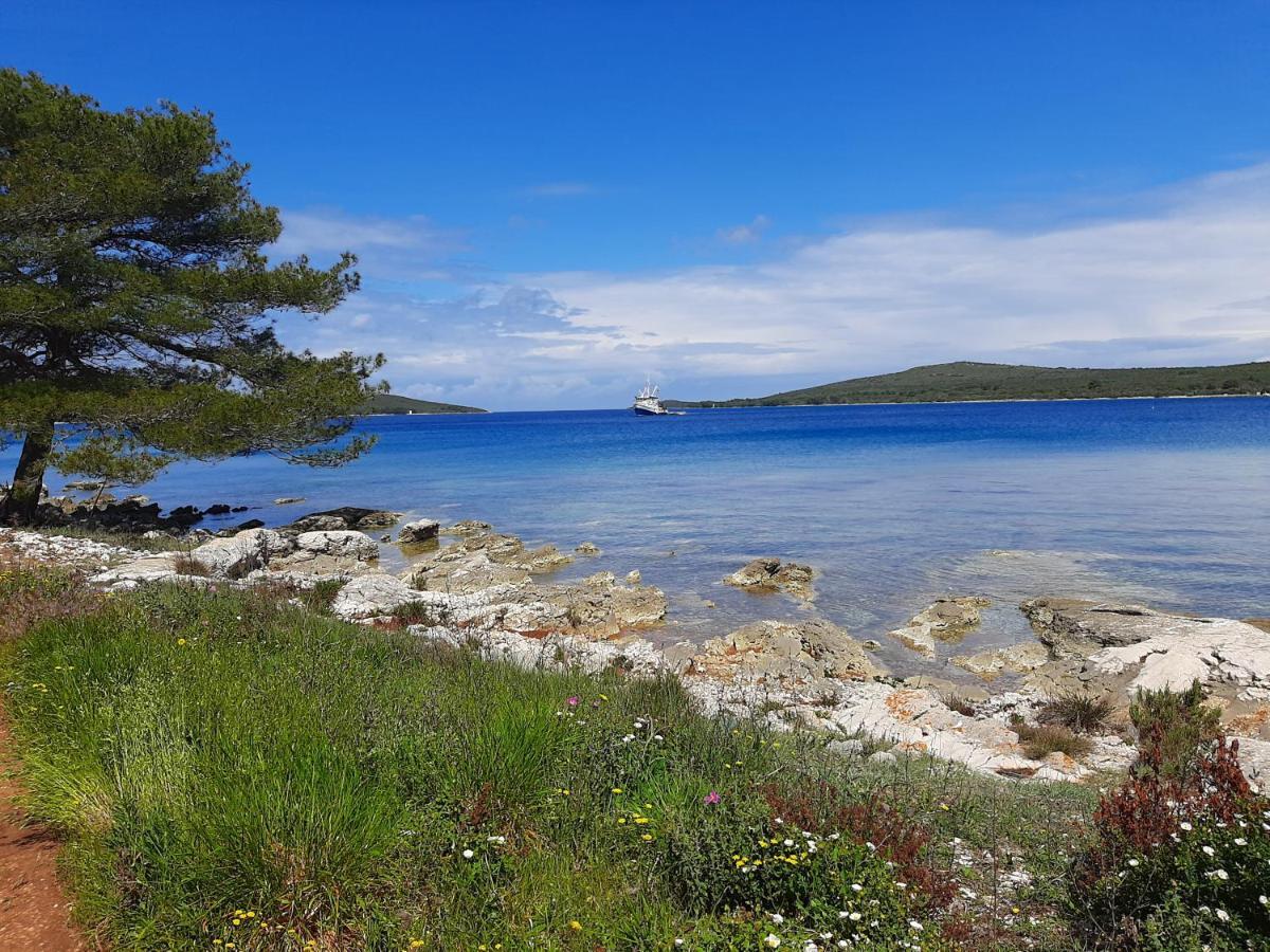 Family House Rebeka Διαμέρισμα Ugljan Εξωτερικό φωτογραφία