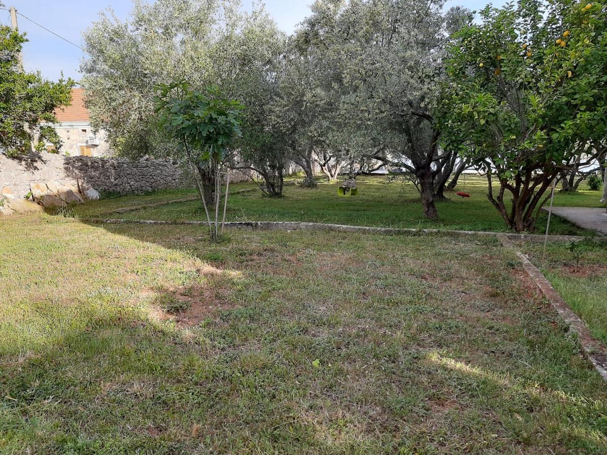 Family House Rebeka Διαμέρισμα Ugljan Εξωτερικό φωτογραφία